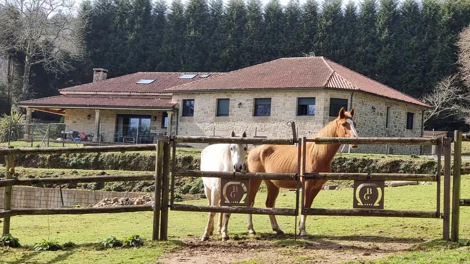 Продажа Дом в Испании в городе Parroquias de Santiago во испанском стиле с собственной конюшней